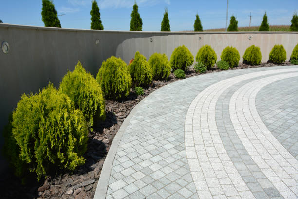 Best Brick Driveway Pavers  in Haverhill, FL